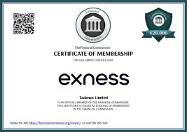Understanding the Benefits of Exness Forex & CFDs