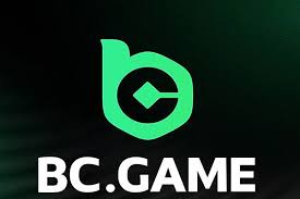 Exploring BC Game The Growing Popularity of Online Gaming in Indonesia