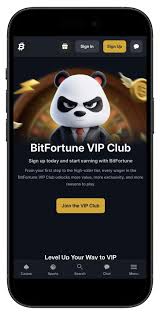Common Errors Encountered During Bitfortune Mobile Login -1271571684