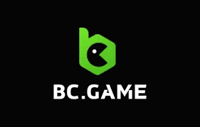 Understanding the BC.Co Crash Predictor Your Key to Smart Betting