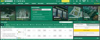 BetWinner Bookmaker Your Comprehensive Guide to Online Betting