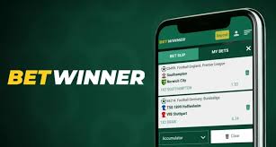 Comprehensive Guide to BetWinner Benin Bonuses -842655151 Comprehensive Guide to BetWinner Benin Bonuses -842655151