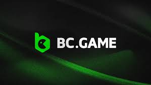 Comprehensive Overview of BC.Game Bonuses -648997745