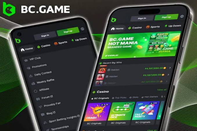 Discover the Thrill of BC.Game Online Casino